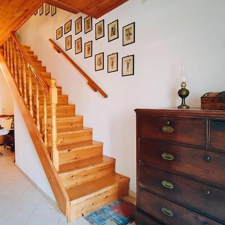 فيلا Retro Wooden House جايوس المظهر الخارجي الصورة